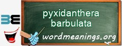 WordMeaning blackboard for pyxidanthera barbulata